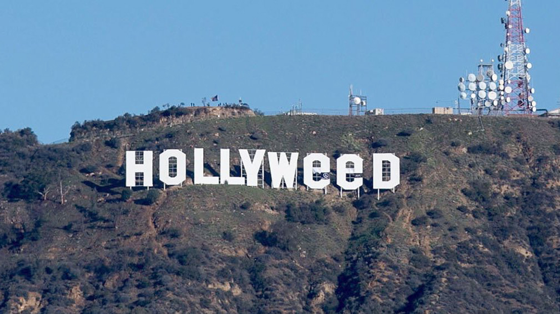hollyweed-1920-2