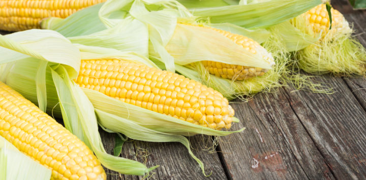 Maize. Fresh Corn on wooden table