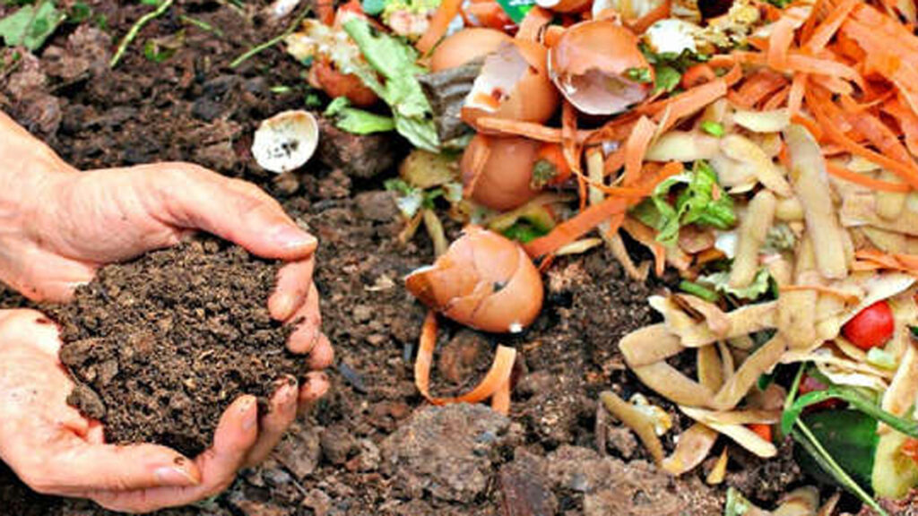 compost perga 2