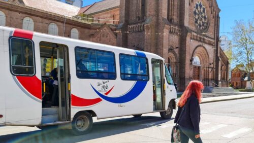 colectivos