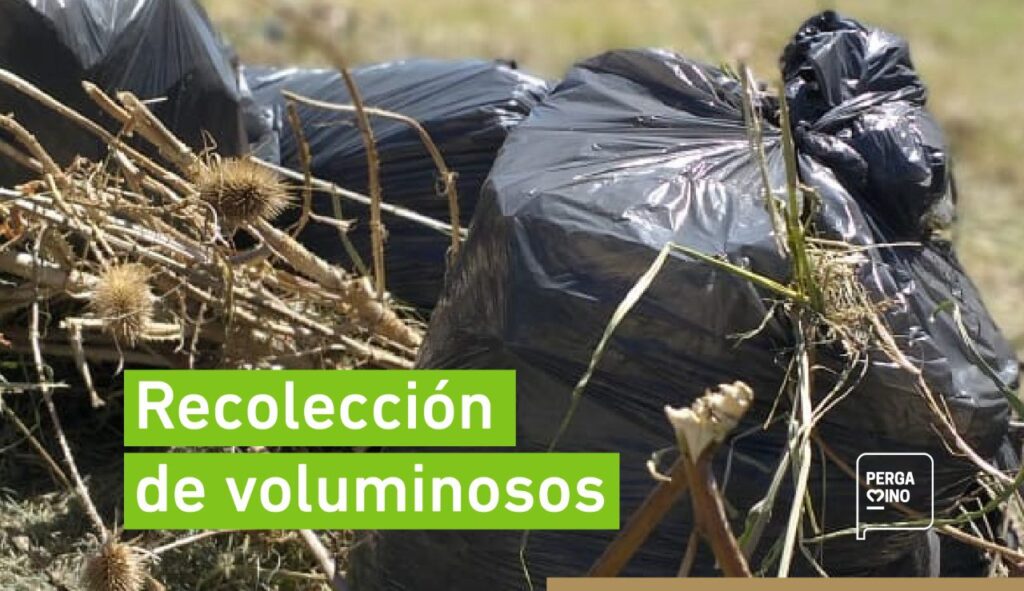 recoleccion-de-voluminosos-e1661522934751